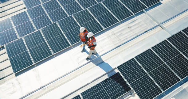 Best Roof Moss and Algae Removal  in Yorktown, TX
